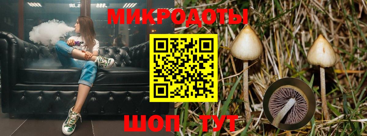 Псилоцибиновые грибы ЛСД  Вход с VPN  Галлюциногенные грибы Cubensis  Королёв 